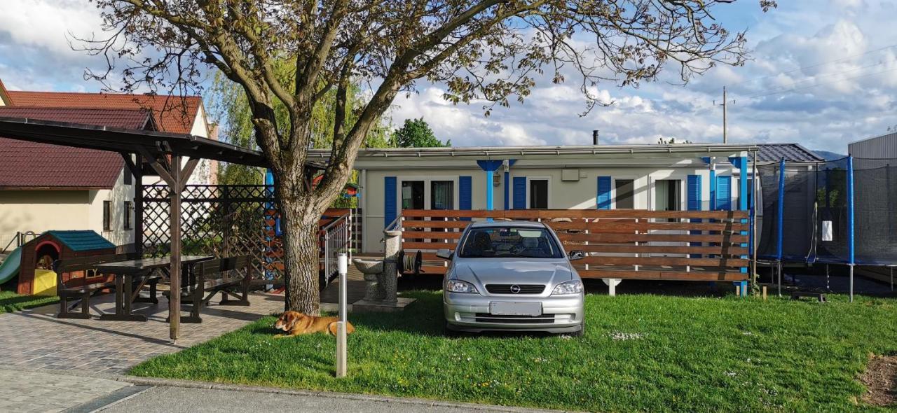 - Celje Apartment Braslovce