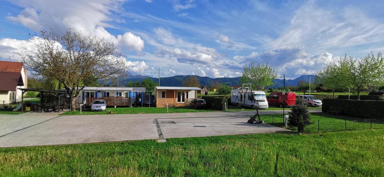 - Celje *