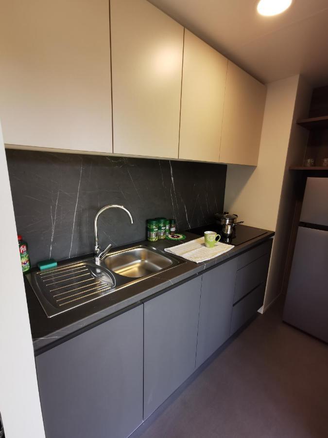 Apartment - Celje Braslovce